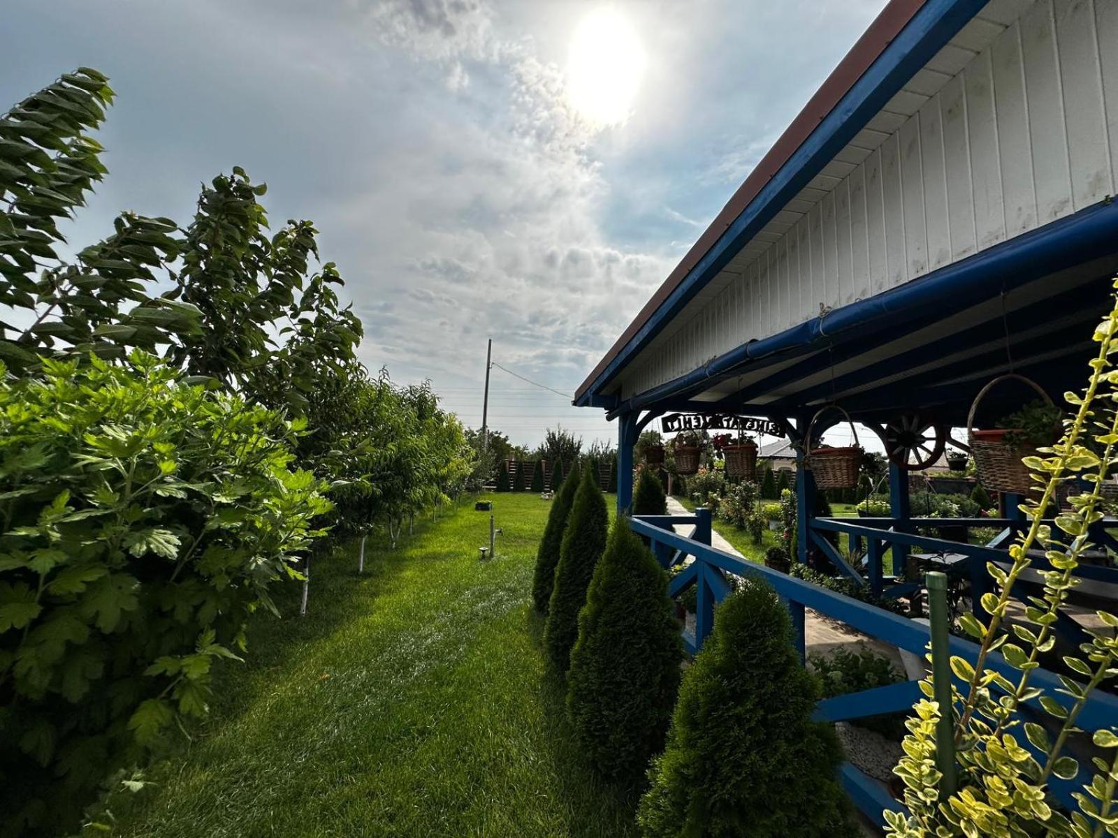 Hotel Agropensiuea Casa Uncu Murighiol Exteriér fotografie